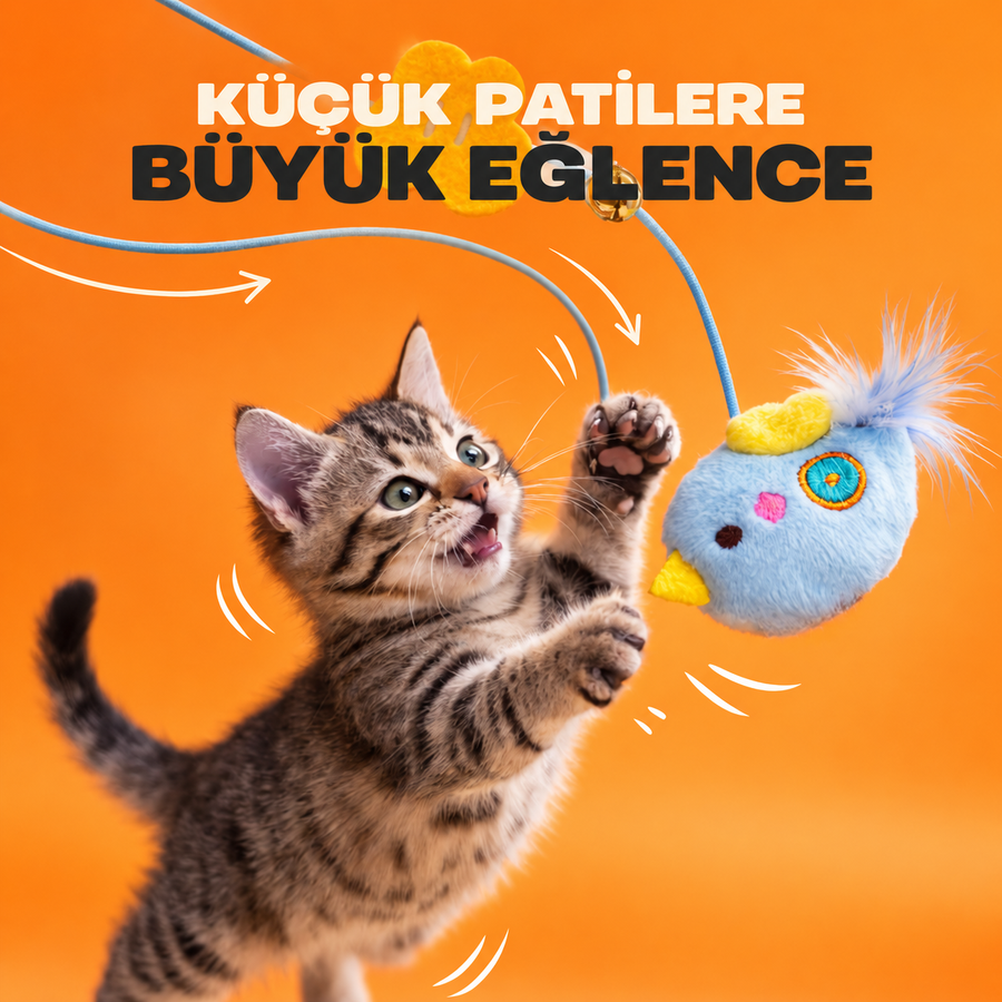 Oyun oynayan kedi